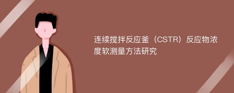 连续搅拌反应釜（CSTR）反应物浓度软测量方法研究