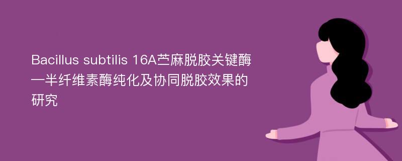 Bacillus subtilis 16A苎麻脱胶关键酶—半纤维素酶纯化及协同脱胶效果的研究