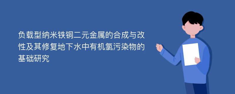 负载型纳米铁铜二元金属的合成与改性及其修复地下水中有机氯污染物的基础研究