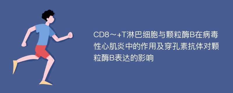 CD8～+T淋巴细胞与颗粒酶B在病毒性心肌炎中的作用及穿孔素抗体对颗粒酶B表达的影响