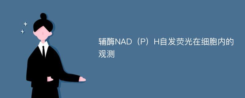 辅酶NAD（P）H自发荧光在细胞内的观测