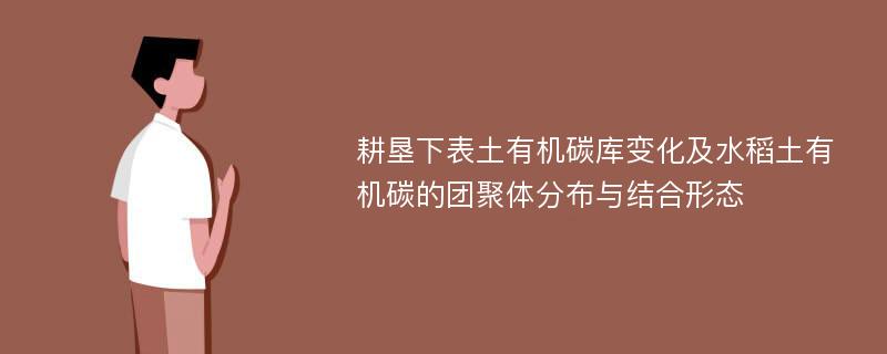 耕垦下表土有机碳库变化及水稻土有机碳的团聚体分布与结合形态