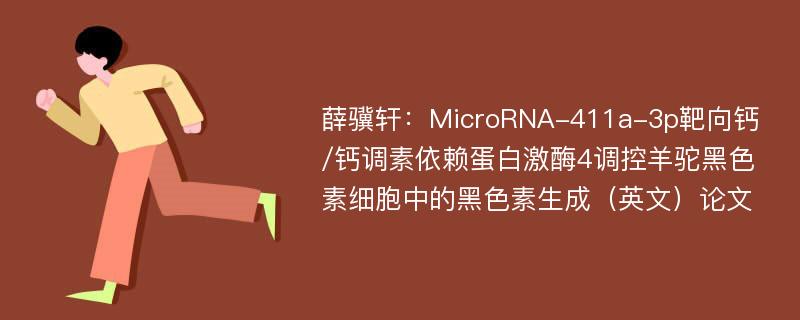 薛骥轩：MicroRNA-411a-3p靶向钙/钙调素依赖蛋白激酶4调控羊驼黑色素细胞中的黑色素生成（英文）论文