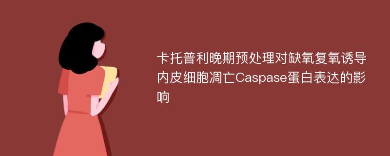 卡托普利晚期预处理对缺氧复氧诱导内皮细胞凋亡Caspase蛋白表达的影响