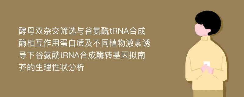 酵母双杂交筛选与谷氨酰tRNA合成酶相互作用蛋白质及不同植物激素诱导下谷氨酰tRNA合成酶转基因拟南芥的生理性状分析