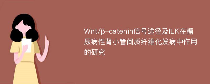 Wnt/β-catenin信号途径及ILK在糖尿病性肾小管间质纤维化发病中作用的研究