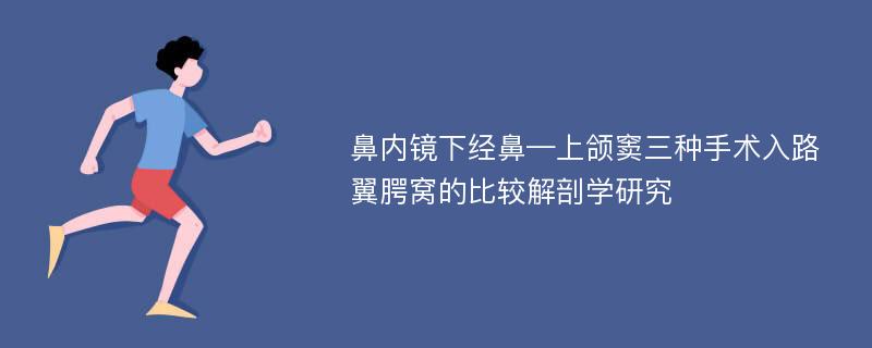 鼻内镜下经鼻—上颌窦三种手术入路翼腭窝的比较解剖学研究