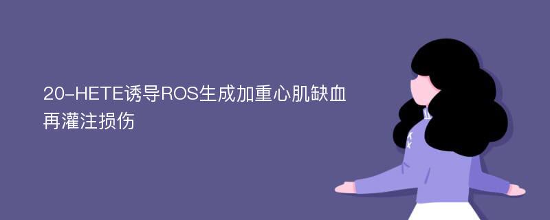 20-HETE诱导ROS生成加重心肌缺血再灌注损伤