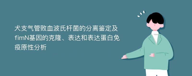 犬支气管败血波氏杆菌的分离鉴定及fimN基因的克隆、表达和表达蛋白免疫原性分析