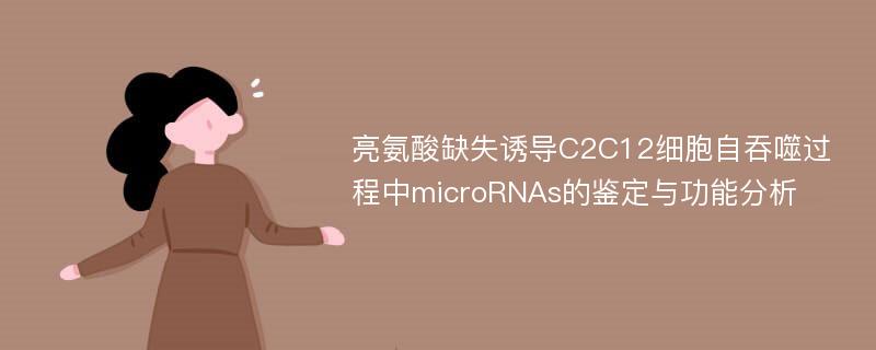 亮氨酸缺失诱导C2C12细胞自吞噬过程中microRNAs的鉴定与功能分析