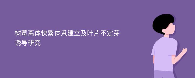 树莓离体快繁体系建立及叶片不定芽诱导研究