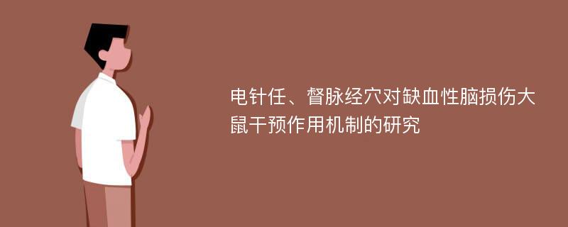 电针任、督脉经穴对缺血性脑损伤大鼠干预作用机制的研究