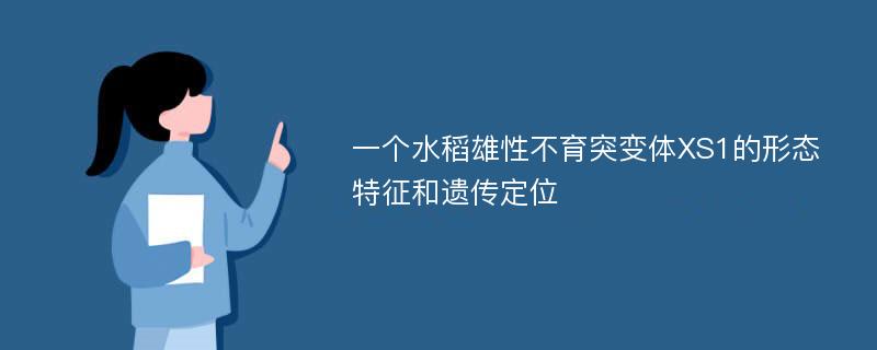 一个水稻雄性不育突变体XS1的形态特征和遗传定位