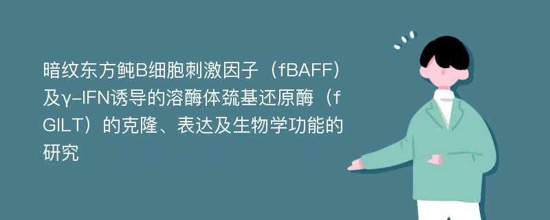 暗纹东方鲀B细胞刺激因子（fBAFF）及γ-IFN诱导的溶酶体巯基还原酶（fGILT）的克隆、表达及生物学功能的研究