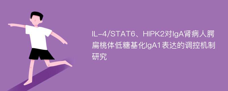 IL-4/STAT6、HIPK2对IgA肾病人腭扁桃体低糖基化IgA1表达的调控机制研究