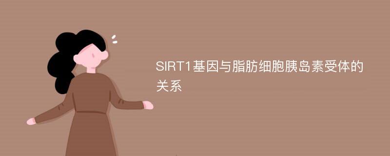 SIRT1基因与脂肪细胞胰岛素受体的关系