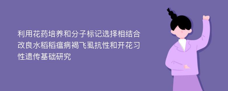 利用花药培养和分子标记选择相结合改良水稻稻瘟病褐飞虱抗性和开花习性遗传基础研究