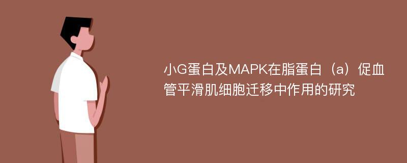 小G蛋白及MAPK在脂蛋白（a）促血管平滑肌细胞迁移中作用的研究