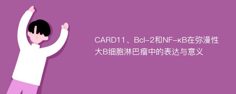 CARD11、Bcl-2和NF-κB在弥漫性大B细胞淋巴瘤中的表达与意义