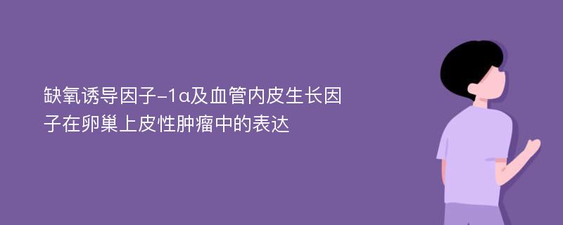 缺氧诱导因子-1α及血管内皮生长因子在卵巢上皮性肿瘤中的表达