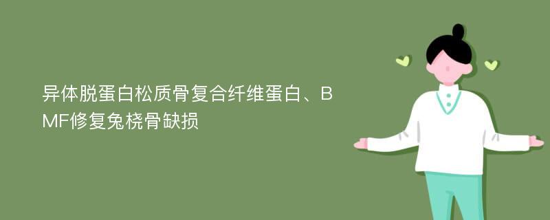 异体脱蛋白松质骨复合纤维蛋白、BMF修复兔桡骨缺损