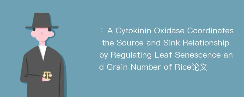 ：A Cytokinin Oxidase Coordinates the Source and Sink Relationship by Regulating Leaf Senescence and Grain Number of Rice论文