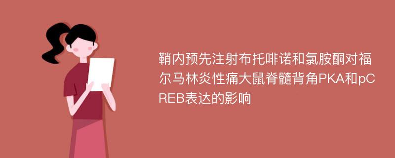 鞘内预先注射布托啡诺和氯胺酮对福尔马林炎性痛大鼠脊髓背角PKA和pCREB表达的影响