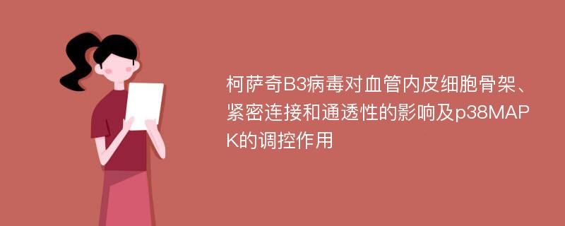 柯萨奇B3病毒对血管内皮细胞骨架、紧密连接和通透性的影响及p38MAPK的调控作用