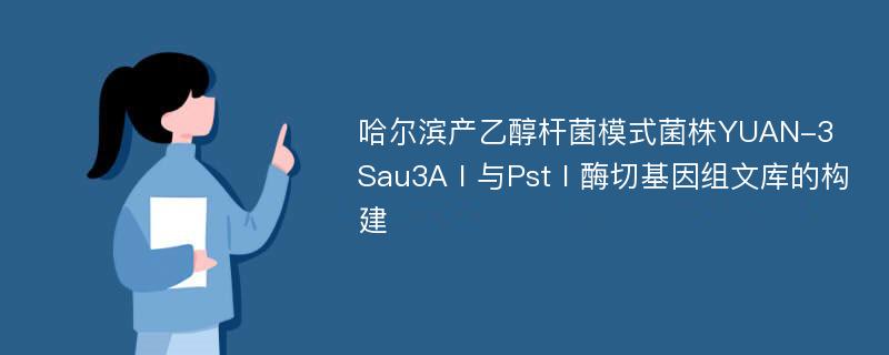 哈尔滨产乙醇杆菌模式菌株YUAN-3Sau3AⅠ与PstⅠ酶切基因组文库的构建