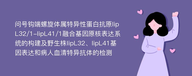 问号钩端螺旋体属特异性蛋白抗原lipL32/1-lipL41/1融合基因原核表达系统的构建及野生株lipL32、lipL41基因表达和病人血清特异抗体的检测