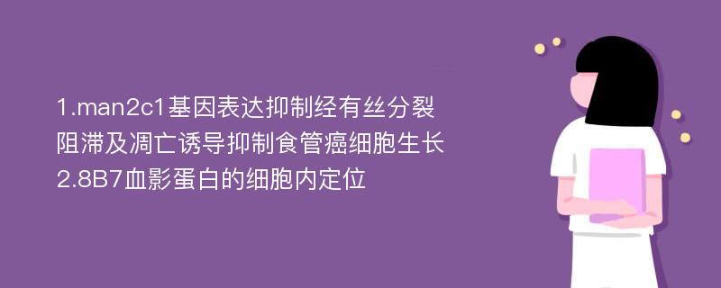 1.man2c1基因表达抑制经有丝分裂阻滞及凋亡诱导抑制食管癌细胞生长　2.8B7血影蛋白的细胞内定位