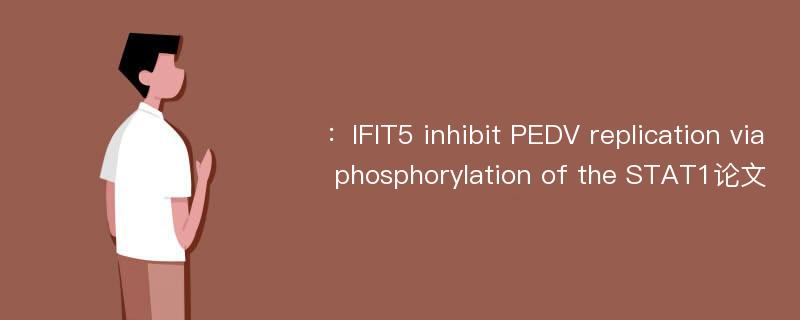 ：IFIT5 inhibit PEDV replication via phosphorylation of the STAT1论文