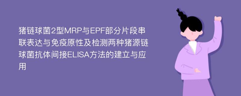 猪链球菌2型MRP与EPF部分片段串联表达与免疫原性及检测两种猪源链球菌抗体间接ELISA方法的建立与应用