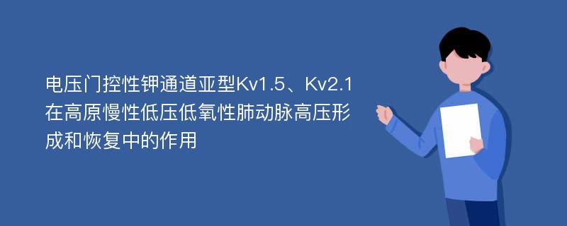 电压门控性钾通道亚型Kv1.5、Kv2.1在高原慢性低压低氧性肺动脉高压形成和恢复中的作用