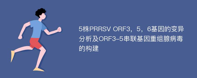 5株PRRSV ORF3，5，6基因的变异分析及ORF3-5串联基因重组腺病毒的构建