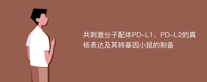 共刺激分子配体PD-L1、PD-L2的真核表达及其转基因小鼠的制备