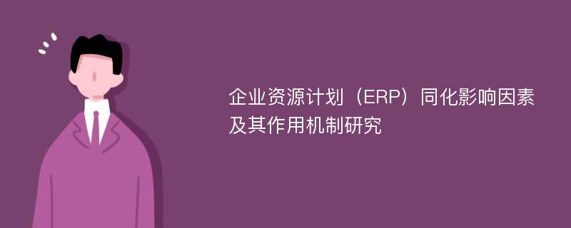 企业资源计划（ERP）同化影响因素及其作用机制研究