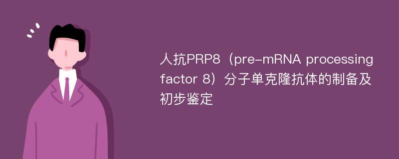 人抗PRP8（pre-mRNA processing factor 8）分子单克隆抗体的制备及初步鉴定