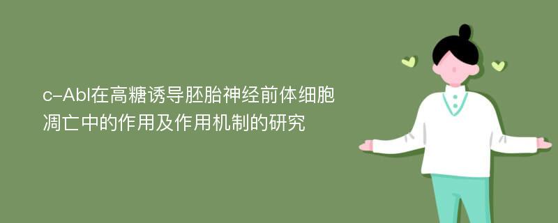 c-Abl在高糖诱导胚胎神经前体细胞凋亡中的作用及作用机制的研究