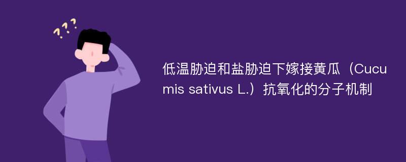 低温胁迫和盐胁迫下嫁接黄瓜（Cucumis sativus L.）抗氧化的分子机制